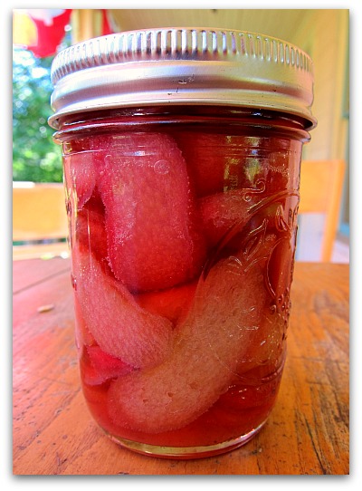Jar of rhubarb pickles